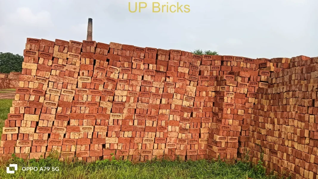 Best Bricks for Boundary Wall