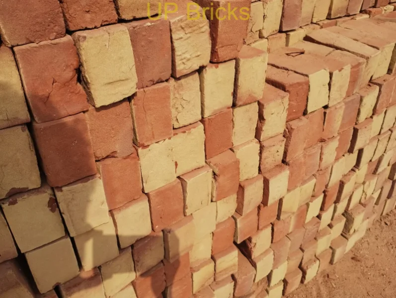 Exposed Bricks Supplier in Greater Noida