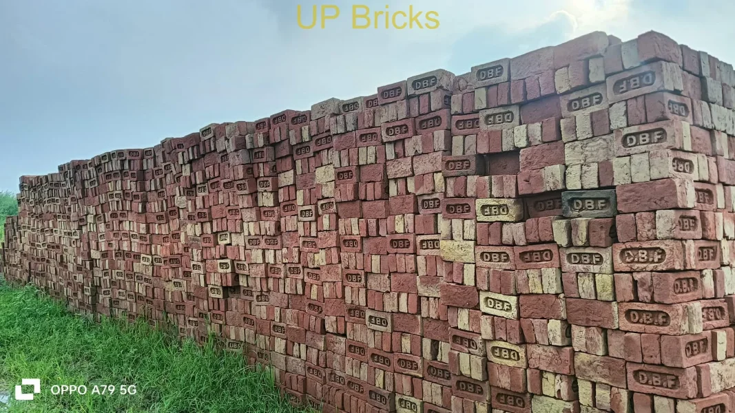 DBF Bricks Supplier in Bikaner